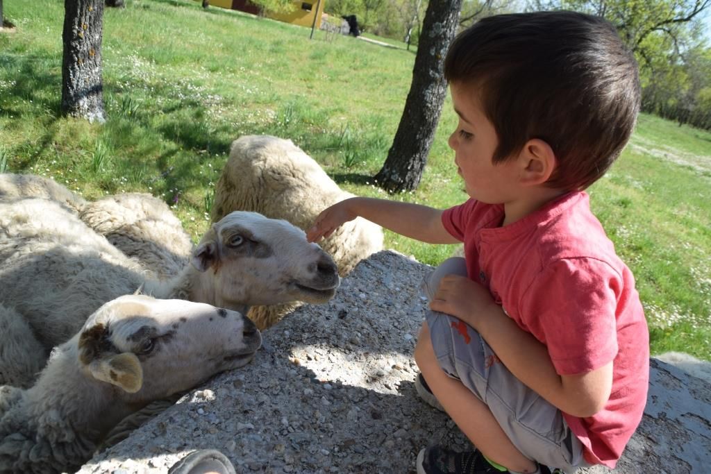 Granja Escuela Infantil Madrid La Chorrera San Mames