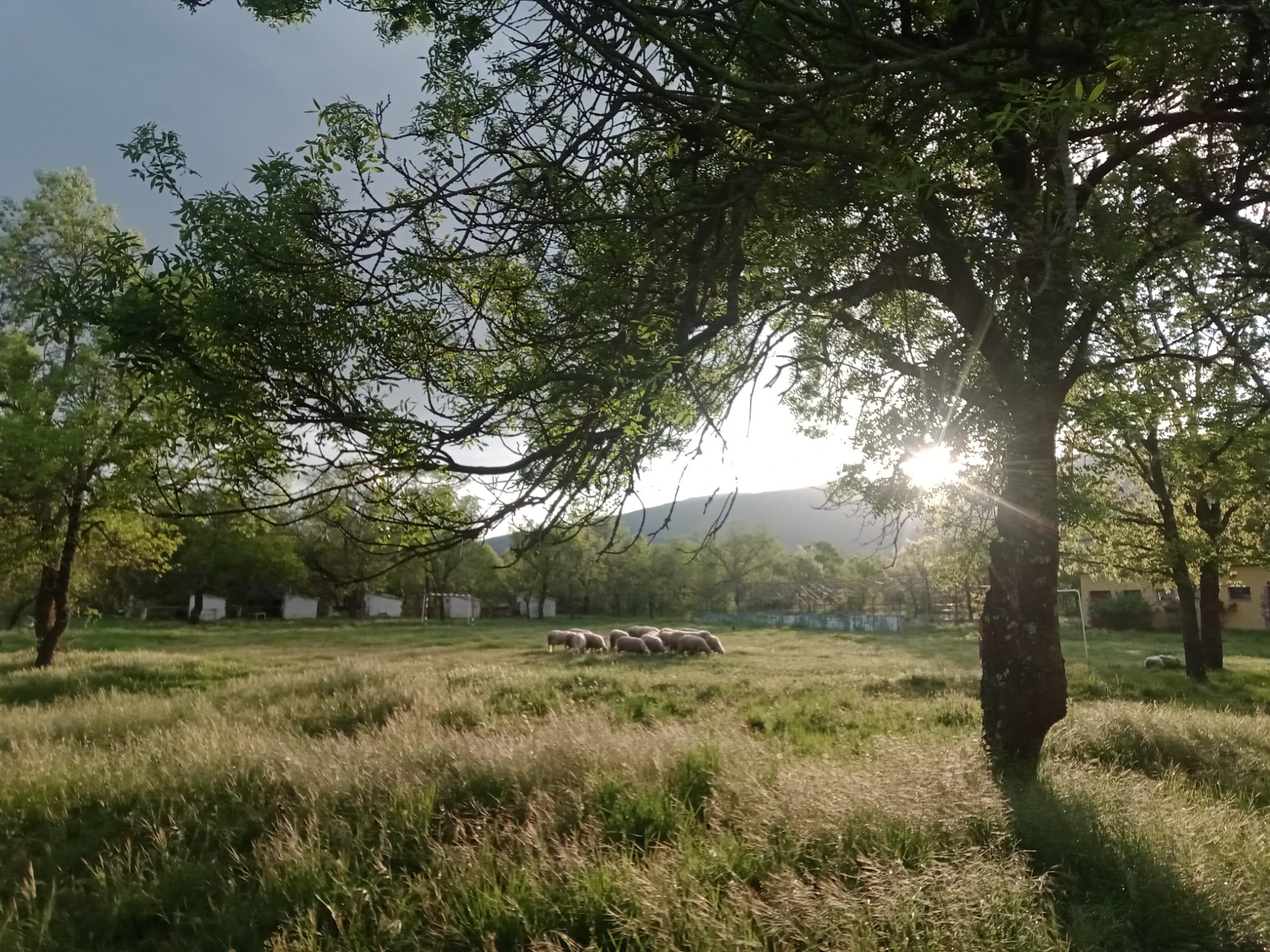 Paisaje Campamento La Escuela