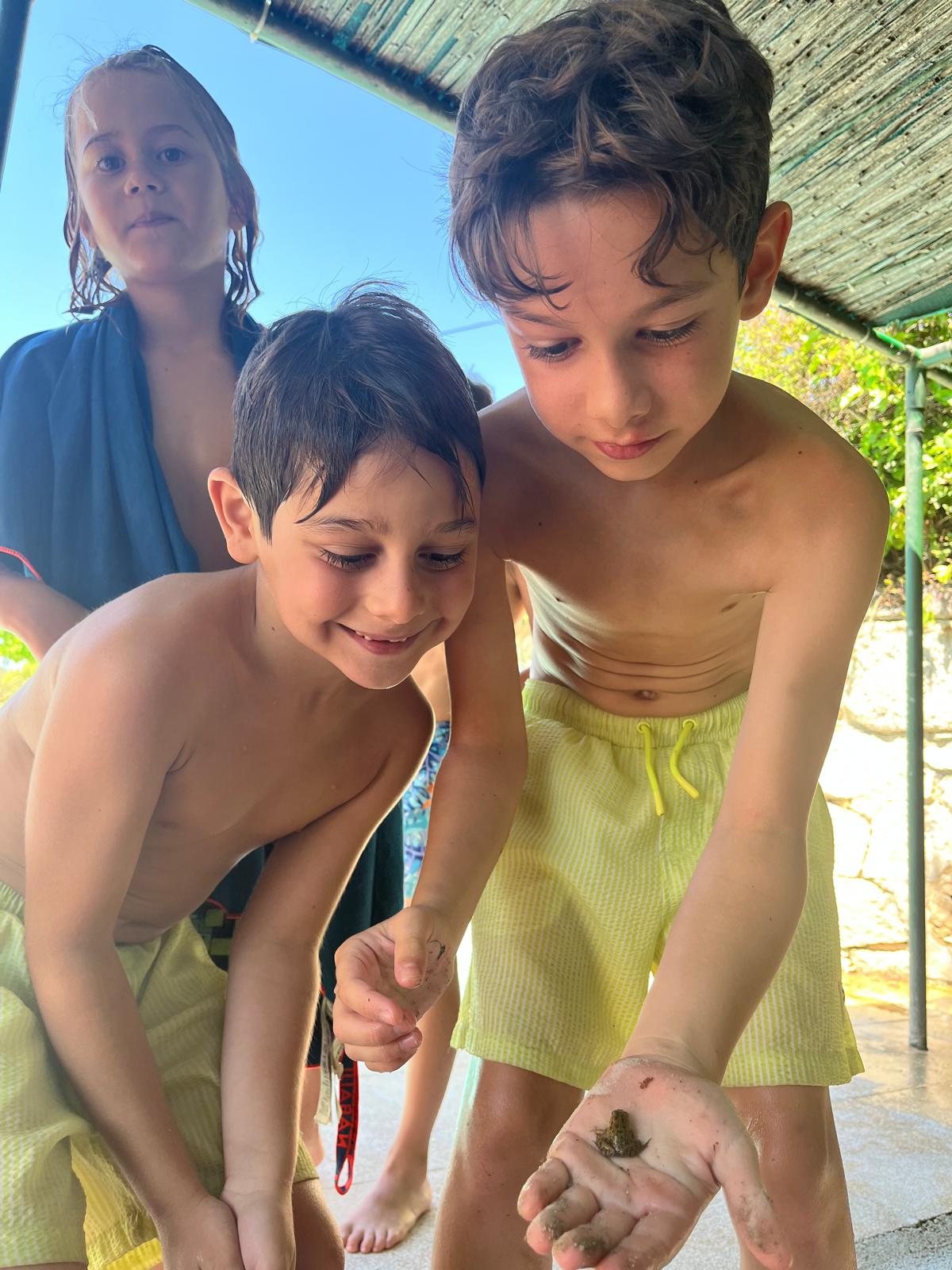 Piscina Campamento La Cabrera Sierra norte Shango Ocio Aventura